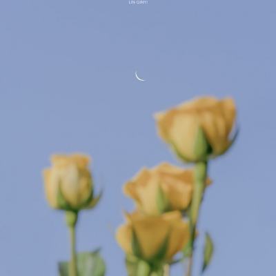 新万博全站app最新版