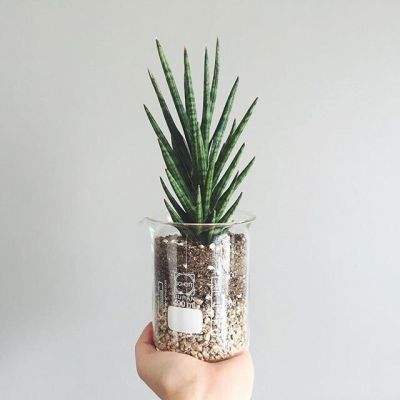 安博体育APP-登录入口